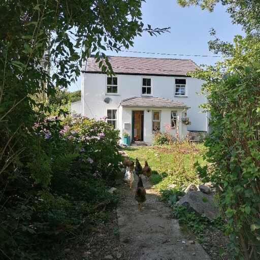Bed and Breakfast Ty Madog Eryri Snowdonia Cwm-y-glo Exterior foto